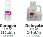 coragen-delegate.png